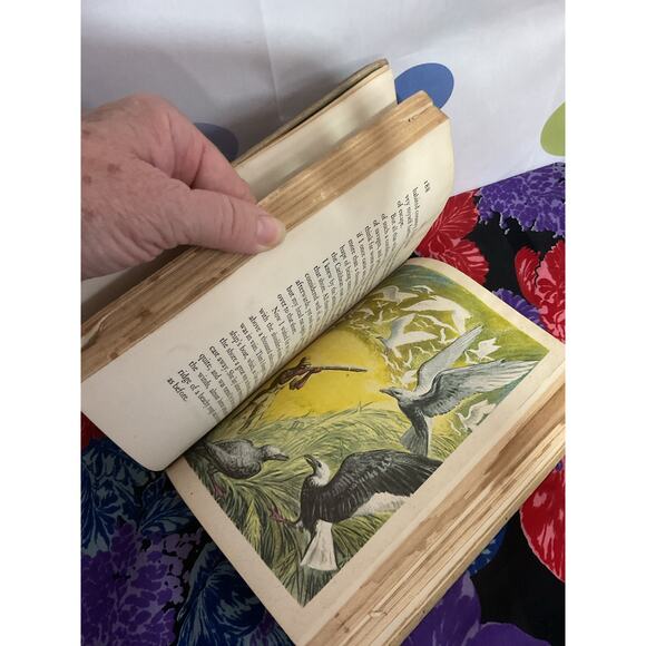 1946 Robinson Crusoe Hardback by Daniel Defoe - Picture 6 of 13